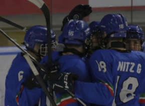 color palasesto hockey