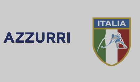 color palasesto hockey