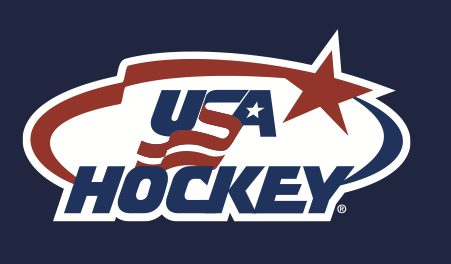 color palasesto hockey